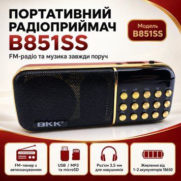 Портативний радіоприймач B851SS з FM-тюнером, LED-дисплеєм, microSD, USB та роз&rsquo;ємом для навушників B851SS фото