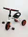 Велосипед дитячий триколісний Rapid від ТМ Tilly T-315 NT-315 фото 3