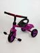 Велосипед дитячий триколісний Rapid від ТМ Tilly T-315 NT-315 фото 5