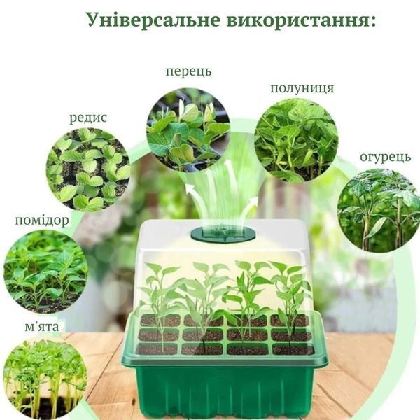 Мінішатник для вирощування насіння розсади з регулюванням вологості PAR12 фото