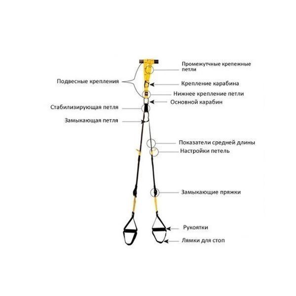 Тренувальні підвісні петлі TRX функціональні ремені для вправ і кросфіту GS-2085 GS2085 фото